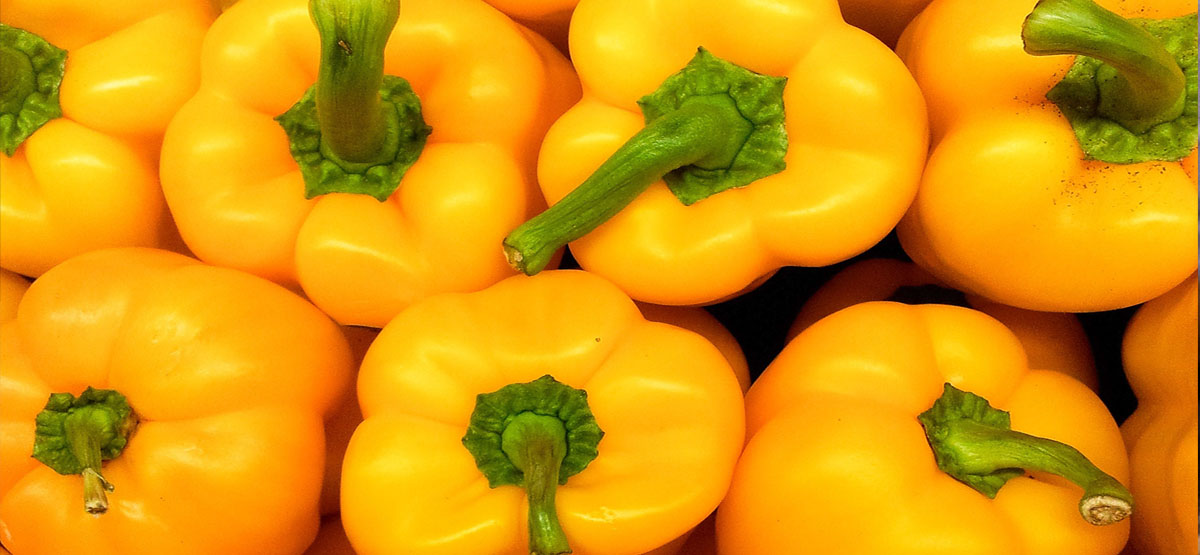Συνταγές που περιέχουν κίτρινη πιπεριά