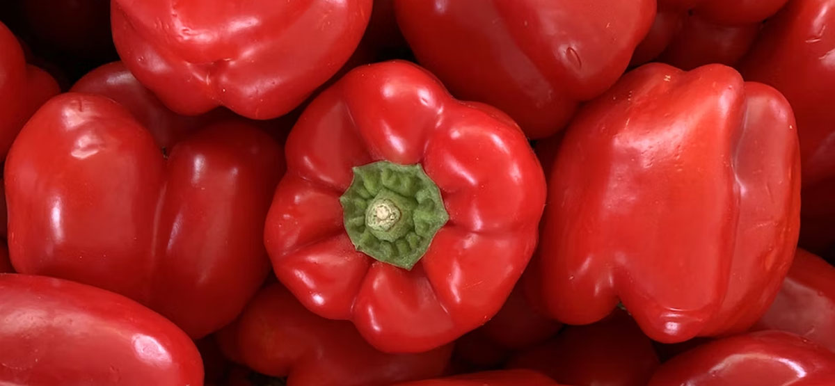 Συνταγές που περιέχουν κόκκινη πιπεριά