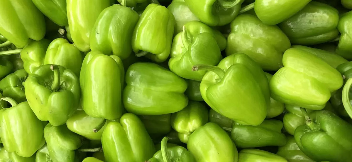 Συνταγές που περιέχουν πράσινη πιπεριά